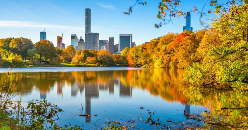 Visit Central Park with Phoenix to New York flight deals