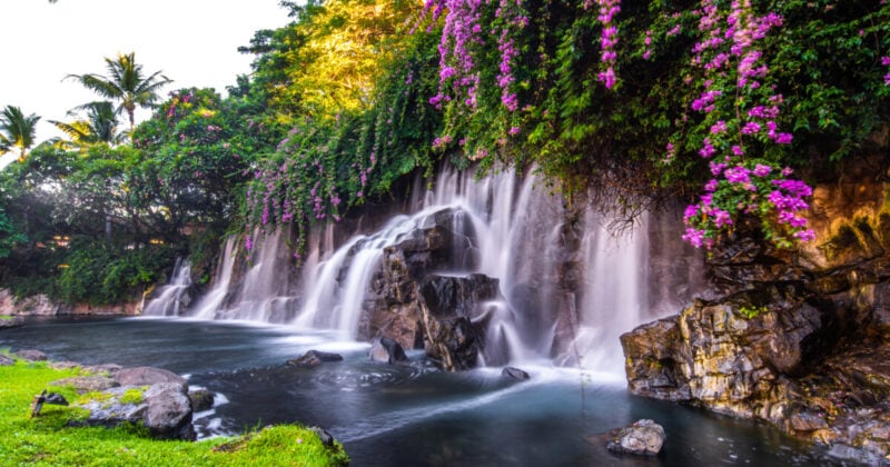 See beautiful waterfalls framed by flowers with Phoenix to Hawaii flight deals from The Flight Expert
