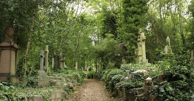 Walking path through Highgate cemetery with tombstones and mausoleums covered in ivy